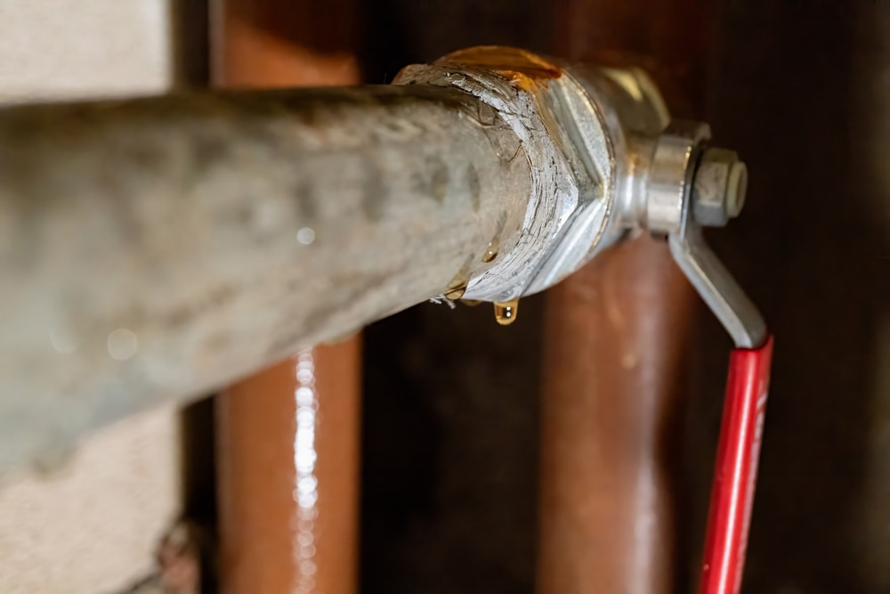 Where can I get a full circle single band pipe clamp